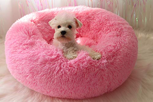 BODISEINT Modern Soft Plush Round Pet Bed for Cats or Small Dogs, Mini Medium Sized Dog Cat Bed Self Warming Autumn Winter Indoor Snooze Sleeping Cozy Kitty Teddy Kennel (24'' D x 8'' H, Hot Pink)