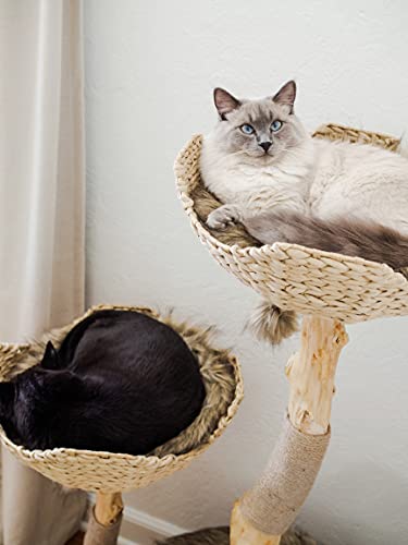 MAU Modern Cat Tree Tower for Large Cats, Real Branch Luxury Wood Cat Tower, Cat Scratching Tree, Cat Condo, Cat Lover Gift, by Mau Lifestyle