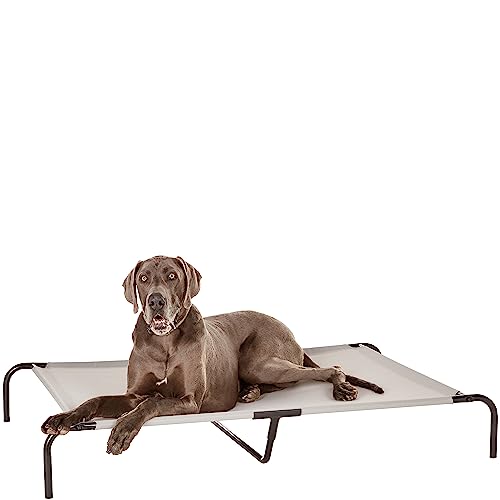 Amazon Basics Cooling Elevated Pet Bed For Dog, X-Large (60.1 x 37.1 x 8.9 Inches), 1 count, Grey