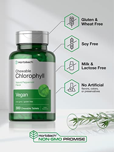 Horbäach Chlorophyll Tablets | 300 Chewables | Natural Peppermint Flavor | Vegan, Non-GMO & Gluten Free