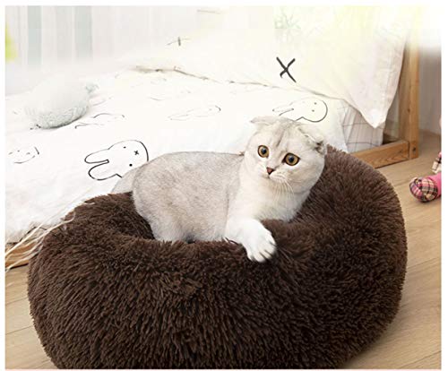 BODISEINT Modern Soft Plush Round Pet Bed for Cats or Small Dogs, Mini Medium Sized Dog Cat Bed Self Warming Autumn Winter Indoor Snooze Sleeping Cozy Kitty Teddy Kennel (24'' D x 8'' H, Chocolate)