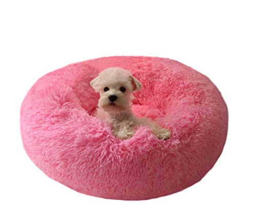 BODISEINT Modern Soft Plush Round Pet Bed for Cats or Small Dogs, Mini Medium Sized Dog Cat Bed Self Warming Autumn Winter Indoor Snooze Sleeping Cozy Kitty Teddy Kennel (24'' D x 8'' H, Hot Pink)