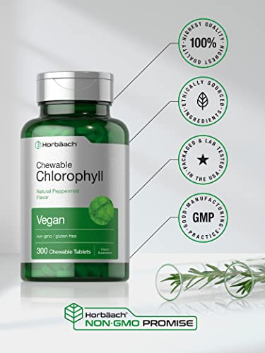 Horbäach Chlorophyll Tablets | 300 Chewables | Natural Peppermint Flavor | Vegan, Non-GMO & Gluten Free