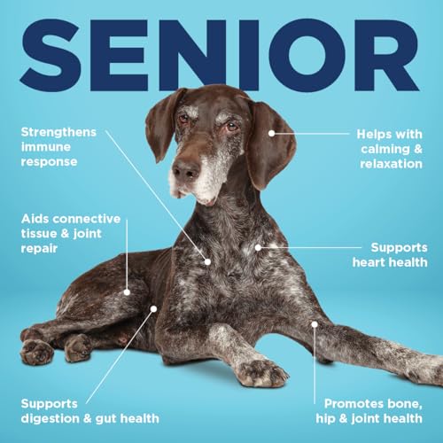 Vetericyn All-in 1 Multifunctional Senior Dog Supplement | Digestive Enzymes + Glucosamine Chondroitin for Hip and Joint Support + Vitamins, Antioxidants, Prebiotics, Probiotics, and Omegas. 90 Count