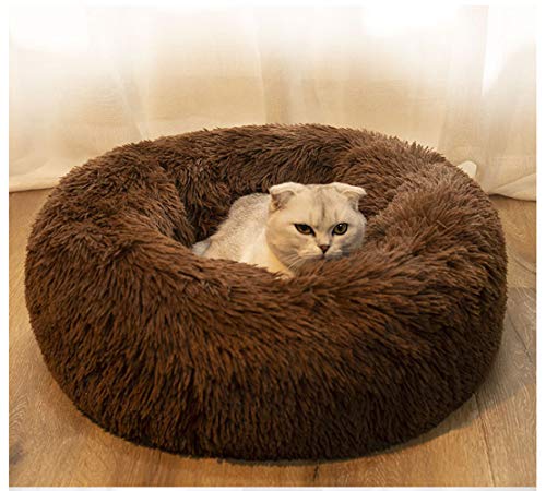 BODISEINT Modern Soft Plush Round Pet Bed for Cats or Small Dogs, Mini Medium Sized Dog Cat Bed Self Warming Autumn Winter Indoor Snooze Sleeping Cozy Kitty Teddy Kennel (24'' D x 8'' H, Chocolate)