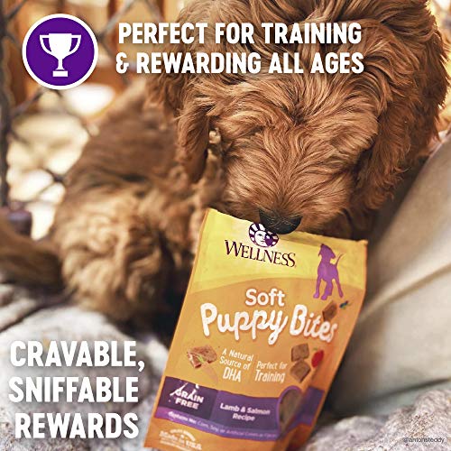 Wellness Soft Puppy Bites Healthy Grain-Free Treats for Training, Dog Treats with Real Meat and DHA, No Artificial Flavors (Lamb & Salmon, 8-Ounce Bag)