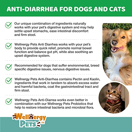 Anti-Diarrhea for Dogs & Cats (4 oz Liquid)(Syringe Included)