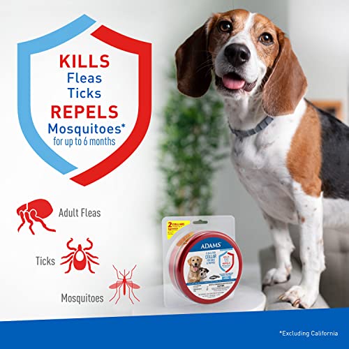 Adams Flea & Tick Collar for Dogs & Puppies | 2 Pack | 12 Month Protection | Adjustable One Size | Kills Fleas, Ticks & Repels Mosquitoes | Excluding California