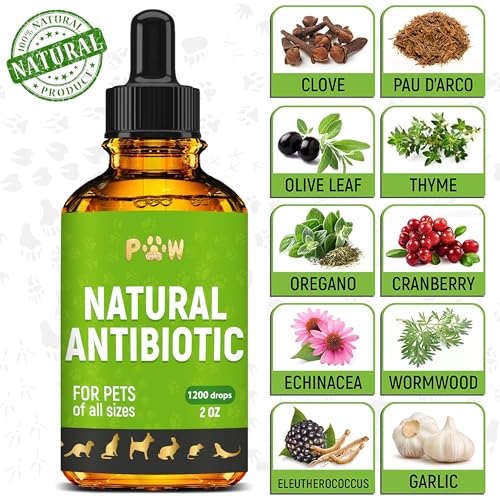 Antibiotics for Cats | Natural Antibiotics for Dogs | Cat Antibiotic | Antibiotics for Dogs | Pet Antibiotic | Dog Antibiotic | Natural Antibiotics for Cats | 2 Oz