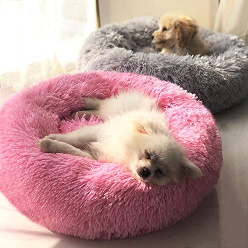 BODISEINT Modern Soft Plush Round Pet Bed for Cats or Small Dogs, Mini Medium Sized Dog Cat Bed Self Warming Autumn Winter Indoor Snooze Sleeping Cozy Kitty Teddy Kennel (24'' D x 8'' H, Hot Pink)