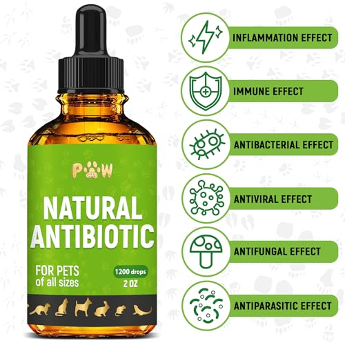 Antibiotics for Cats | Natural Antibiotics for Dogs | Cat Antibiotic | Antibiotics for Dogs | Pet Antibiotic | Dog Antibiotic | Natural Antibiotics for Cats | 2 Oz