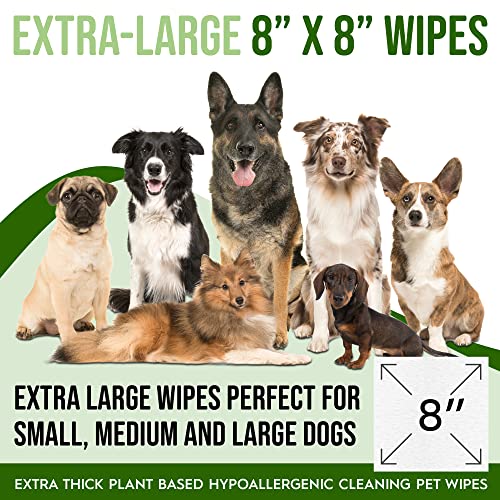 400 Dog Wipes for Paws and Butt Ears Eyes | Organic Pet Wipes for Dogs | Lavender Scented Dog Wipes Cleaning Deodorizing | Extra Thick Paw Wipes for Dogs Cats Pets | Bonus Glove Wipes Included