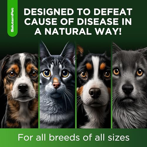 Natural Herbal Supplement | Pet antibiotic | Natural antibiotics for Dogs | Antibiotics for Dogs | Natural antibiotics for Cats | Antibiotic for Cats| 2 Oz