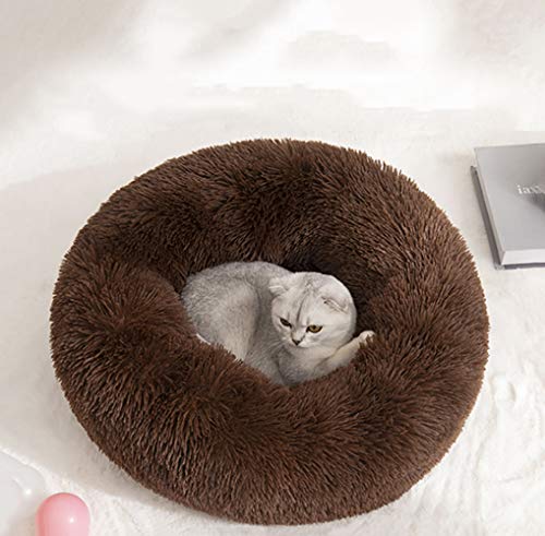 BODISEINT Modern Soft Plush Round Pet Bed for Cats or Small Dogs, Mini Medium Sized Dog Cat Bed Self Warming Autumn Winter Indoor Snooze Sleeping Cozy Kitty Teddy Kennel (24'' D x 8'' H, Chocolate)