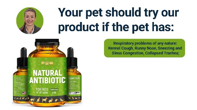 Antibiotics for Cats | Natural Antibiotics for Dogs | Cat Antibiotic | Antibiotics for Dogs | Pet Antibiotic | Dog Antibiotic | Natural Antibiotics for Cats | 2 Oz