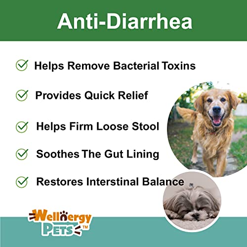 Anti-Diarrhea for Dogs & Cats (4 oz Liquid)(Syringe Included)