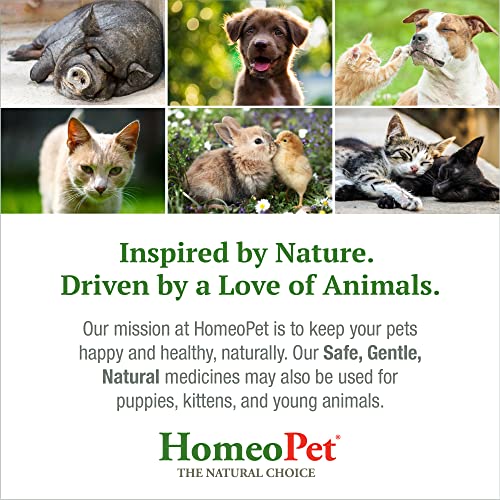 HomeoPet HP Healing Cream, Natural Support for Pet Wound Healing, Skin-Healing Cream for Dogs and Cats, 14 Grams