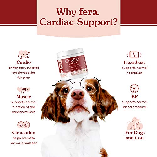 Fera Pets Cardiac Supplement for Dogs & Cats – 60 Capsules – Cardiovascular Function & Strength with Taurine, CoQ10, Organic Hawthorne Berry & More