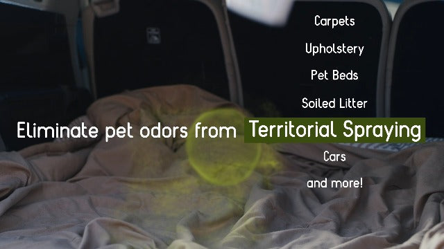 Zero Odor - Pet Eliminator Permanently Eliminate Air & Surface Odors – Patented Molecular Technology Best For Carpet, Furniture, Beds Smell Great Again (Over 400 Sprays Per Bottle)