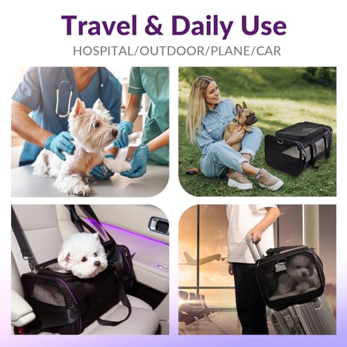 Pet Carrier - Airline Approved Cat and Dog Carrier for Small Dogs, Medium Dogs - Durable Dog Travel Bag, Expandable, Comfortable, Fits Major Airlines