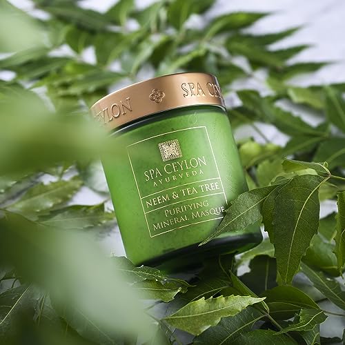 SPA CEYLON NEEM & TEA TREE - Purifying Mineral Masque