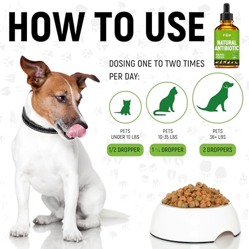 Antibiotics for Cats | Natural Antibiotics for Dogs | Cat Antibiotic | Antibiotics for Dogs | Pet Antibiotic | Dog Antibiotic | Natural Antibiotics for Cats | 2 Oz