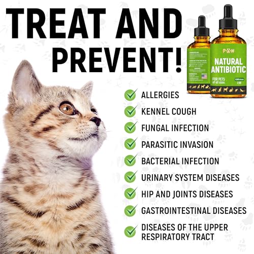 Antibiotics for Cats | Natural Antibiotics for Dogs | Cat Antibiotic | Antibiotics for Dogs | Pet Antibiotic | Dog Antibiotic | Natural Antibiotics for Cats | 2 Oz