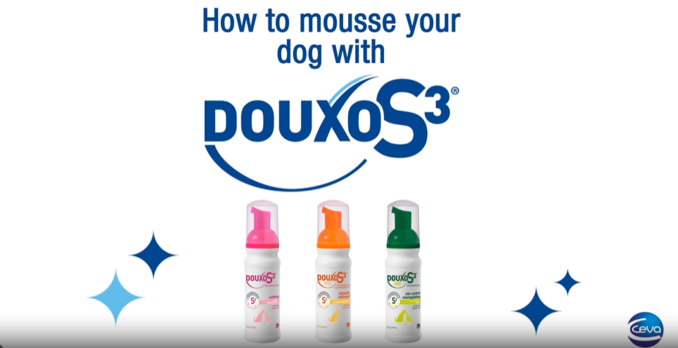 PYO Mousse 5.1 oz (150 mL), Used for Dogs and Cats with Skin Conditions